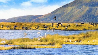 關(guān)于旅游景色的詩(shī)句