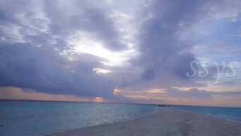 一首關(guān)于海的詩句