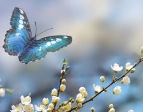 詩(shī)句,勉強(qiáng),有哪些