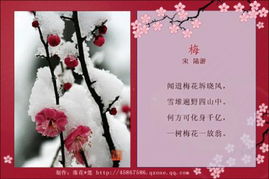 關(guān)于母愛(ài)是偉大的詩(shī)句