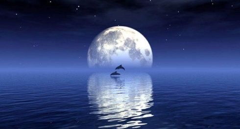 中秋節(jié)海外游子想念家人的詩句,中秋節(jié)想念家鄉(xiāng)家人的詩句,中秋節(jié)想念家鄉(xiāng)的詩句