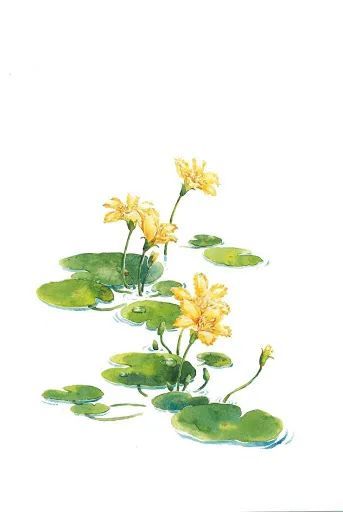 關于一草的詩句