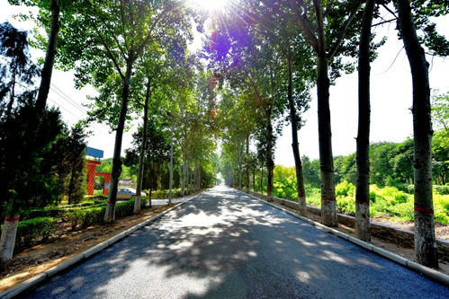 關(guān)于舊貌變新顏的詩句