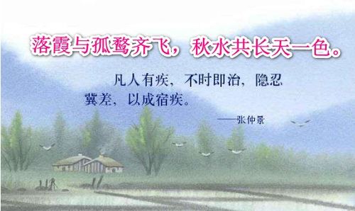 關(guān)于愛情和婚姻的詩句