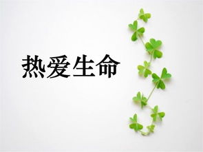 關(guān)于熱愛生命詩句