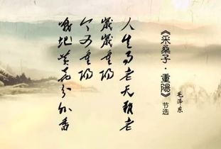 關(guān)于中秋節(jié)春節(jié)的詩(shī)句古詩(shī)大全