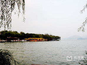 關(guān)于贊美東錢(qián)湖的詩(shī)句