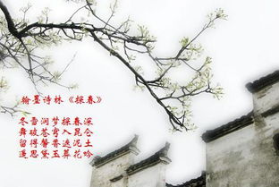 關(guān)于春秋的的詩句古詩