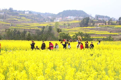 田園風(fēng)光,的詩,句子
