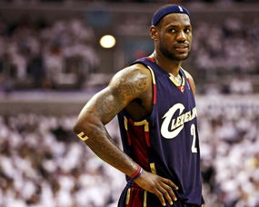 詹姆斯的古詩句