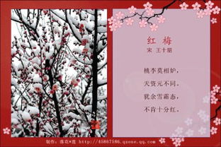 詩句,包含,小學(xué)