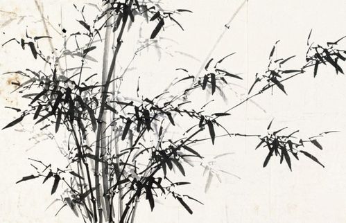 雪竹子的贊美詩(shī)句古詩(shī)