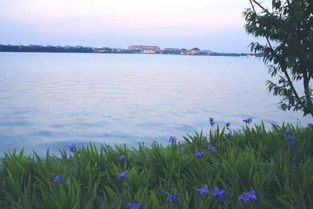 關(guān)于同里景色的詩(shī)句