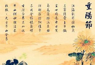 菊花的重陽(yáng)詩(shī)句古詩(shī)
