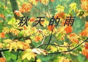 關(guān)于秋天雨的詩句古詩
