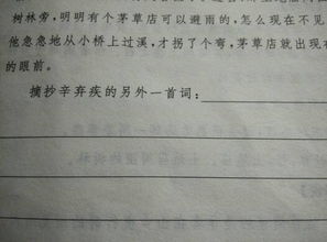 有關(guān)于理想的四字詩(shī)句