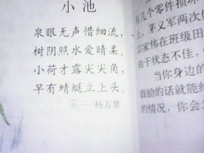 初中關(guān)于描寫花的詩句