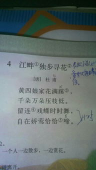 關(guān)于春季和夏季的詩句