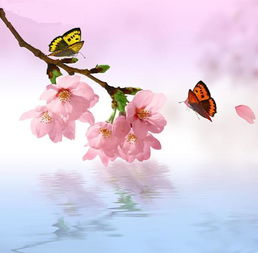 古詩,詩句,桃花