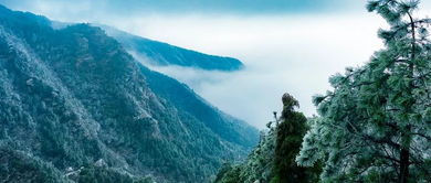 描寫盧山的詩句古詩詞