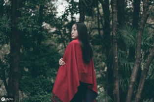 含關于兵器的詩句