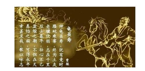 關(guān)于贊美老人的詩(shī)句集錦,贊美老人夕陽(yáng)紅的詩(shī)句,贊美老人有活力的詩(shī)句