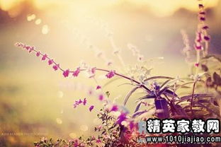 表達(dá)青春美好的詩句,祝愿青春美好的詩句,寫青春美好的詩句