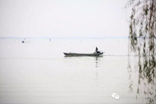 關(guān)于隱居于島的詩句