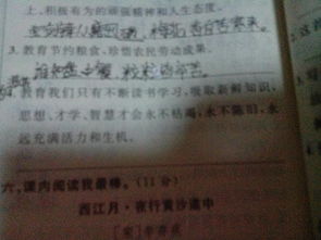 古詩(shī)詩(shī)句運(yùn)用填空2