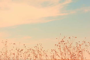 有那些關(guān)于不要放棄的詩句