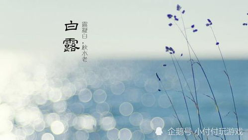 關(guān)于雨天的古詩句,形容雨天的唯美古詩,木槿花唯美古詩句