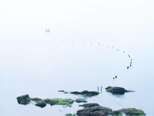 表達(dá)人間真情的古詩詩句