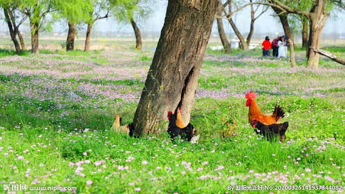 關(guān)于生機(jī)勃勃的春天的詩句是