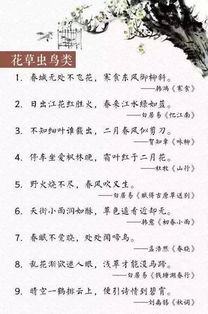 寫泰山的古詩句,描寫工作忙碌的古詩句,關(guān)于工作的古詩句