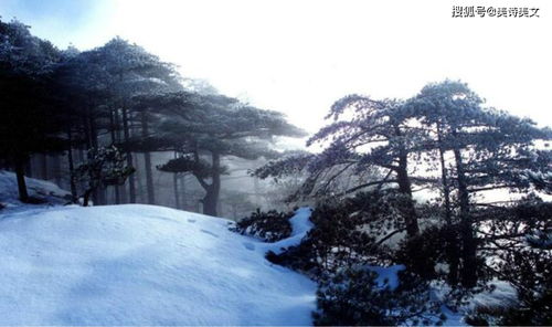 描寫(xiě)雪景的古詩(shī)句有什么