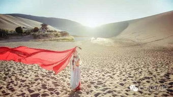 關(guān)于西域大漠塞外的詩句