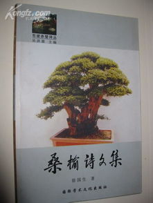 關于桑榆一詞的詩句