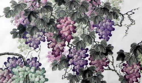 關(guān)于葡萄的古詩詞詩句