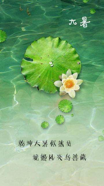 有關(guān)于大暑節(jié)氣的詩句