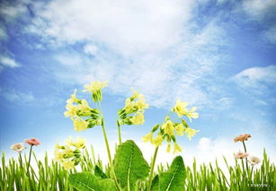 一二級(jí)關(guān)于春天的詩(shī)句