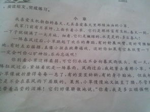 以古詩(shī)句開頭贊美小草的作文