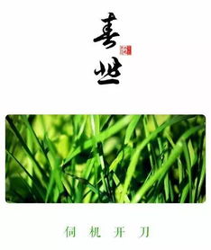 網(wǎng)上關(guān)于吃的詩(shī)句
