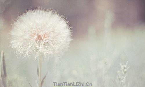 關(guān)于一個人瀟灑的詩句