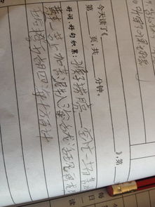 關(guān)于貓的歇后語(yǔ)成語(yǔ)和詩(shī)句