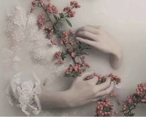 關(guān)于物我合一的詩句