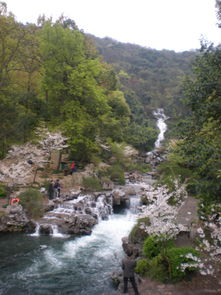 詩句,小溪,流動