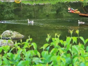 潺潺,詩句,水聲