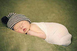 關(guān)于睡好覺(jué)的詩(shī)句