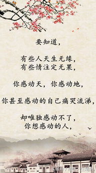 關(guān)于裁詩(shī)句