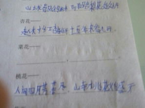 菜花的古詩(shī)句有